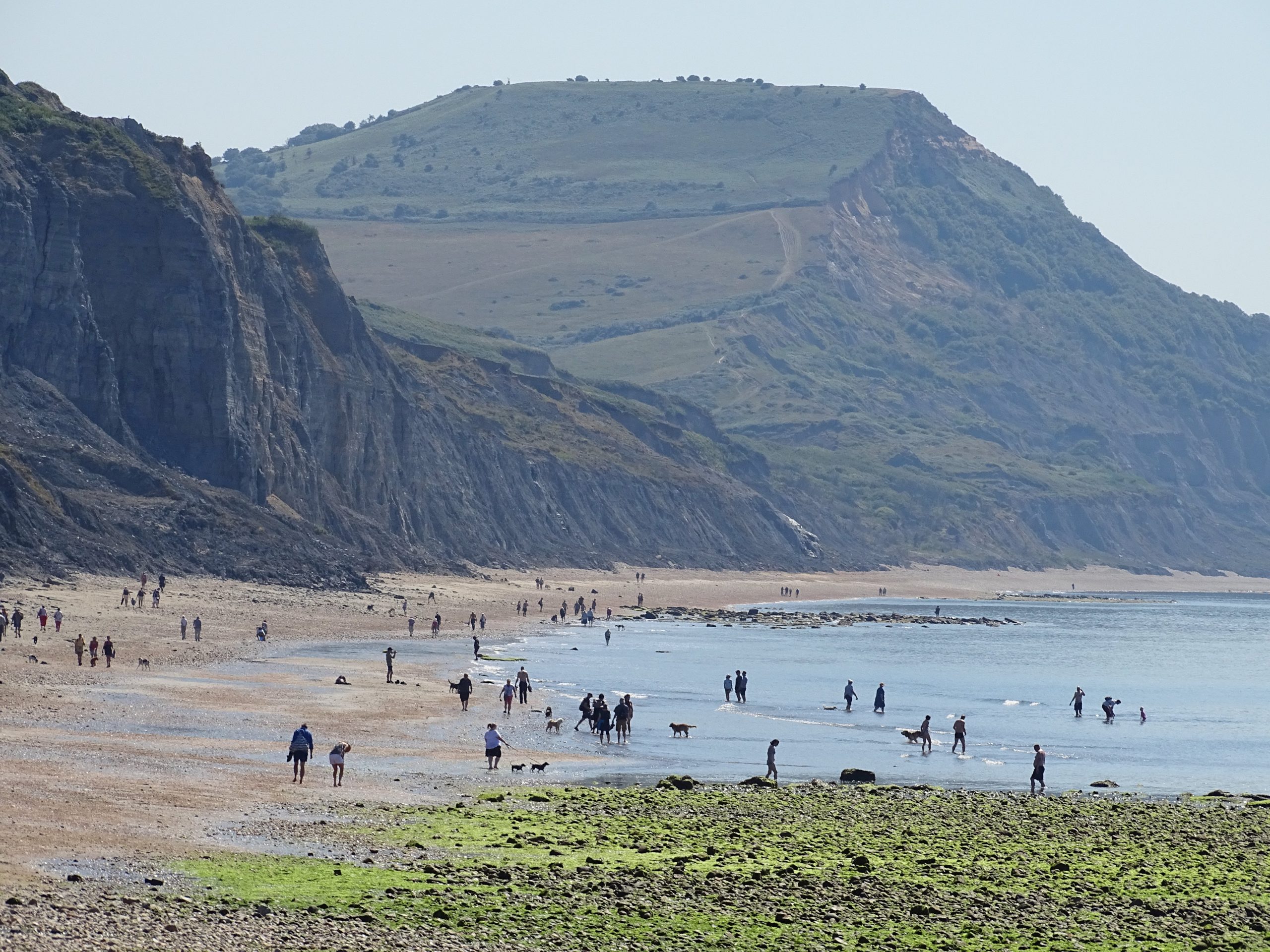 Charmouth, Dorset Charmouth, Dorset