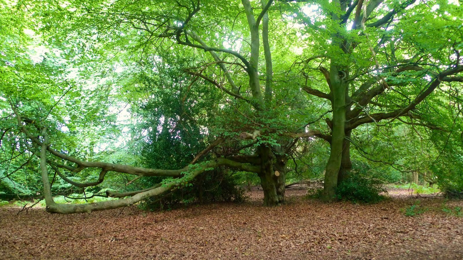 Cold Ash, Berkshire Cold Ash, Berkshire