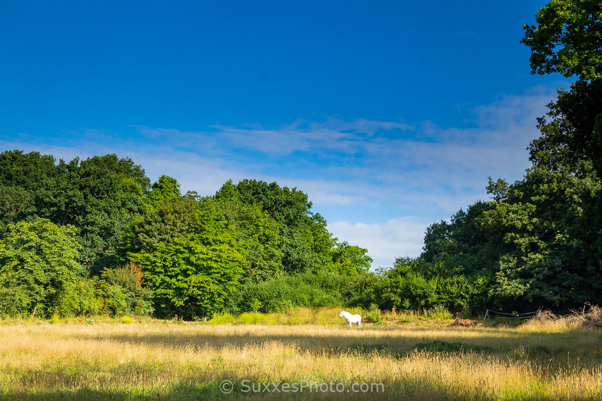 Charlwood, Surrey Charlwood, Surrey