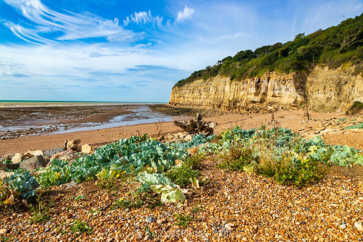 Cliff End, East Sussex Cliff End, East Sussex
