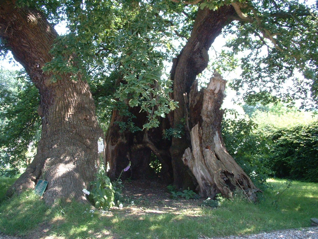 Marton, Cheshire Marton, Cheshire